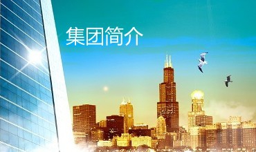 集團簡介